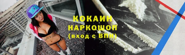 ПСИЛОЦИБИНОВЫЕ ГРИБЫ Гусь-Хрустальный