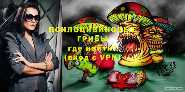 apvp Гусиноозёрск