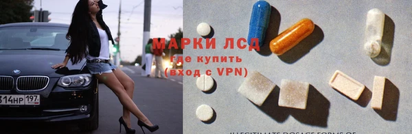 ПСИЛОЦИБИНОВЫЕ ГРИБЫ Гусь-Хрустальный