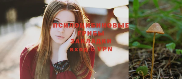 apvp Гусиноозёрск