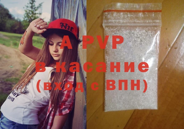 apvp Гусиноозёрск