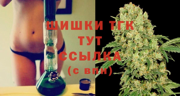 ПСИЛОЦИБИНОВЫЕ ГРИБЫ Гусь-Хрустальный