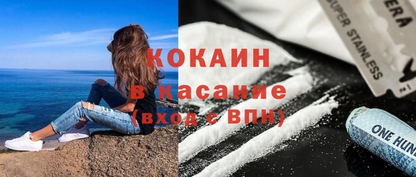 ПСИЛОЦИБИНОВЫЕ ГРИБЫ Гусь-Хрустальный