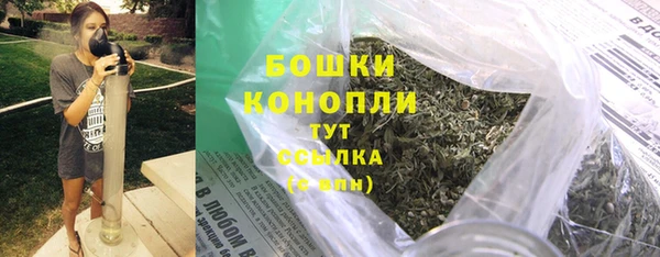 ПСИЛОЦИБИНОВЫЕ ГРИБЫ Гусь-Хрустальный