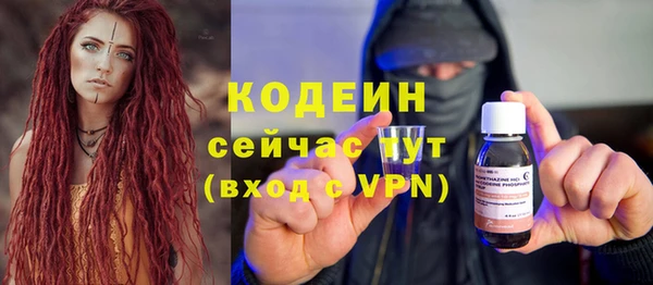 ПСИЛОЦИБИНОВЫЕ ГРИБЫ Гусь-Хрустальный