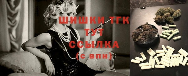 apvp Гусиноозёрск