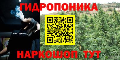 индика Малгобек