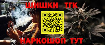индика Малгобек